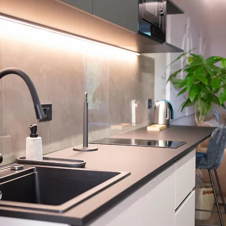 Avrelia 류블랴나